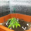 big beng auto