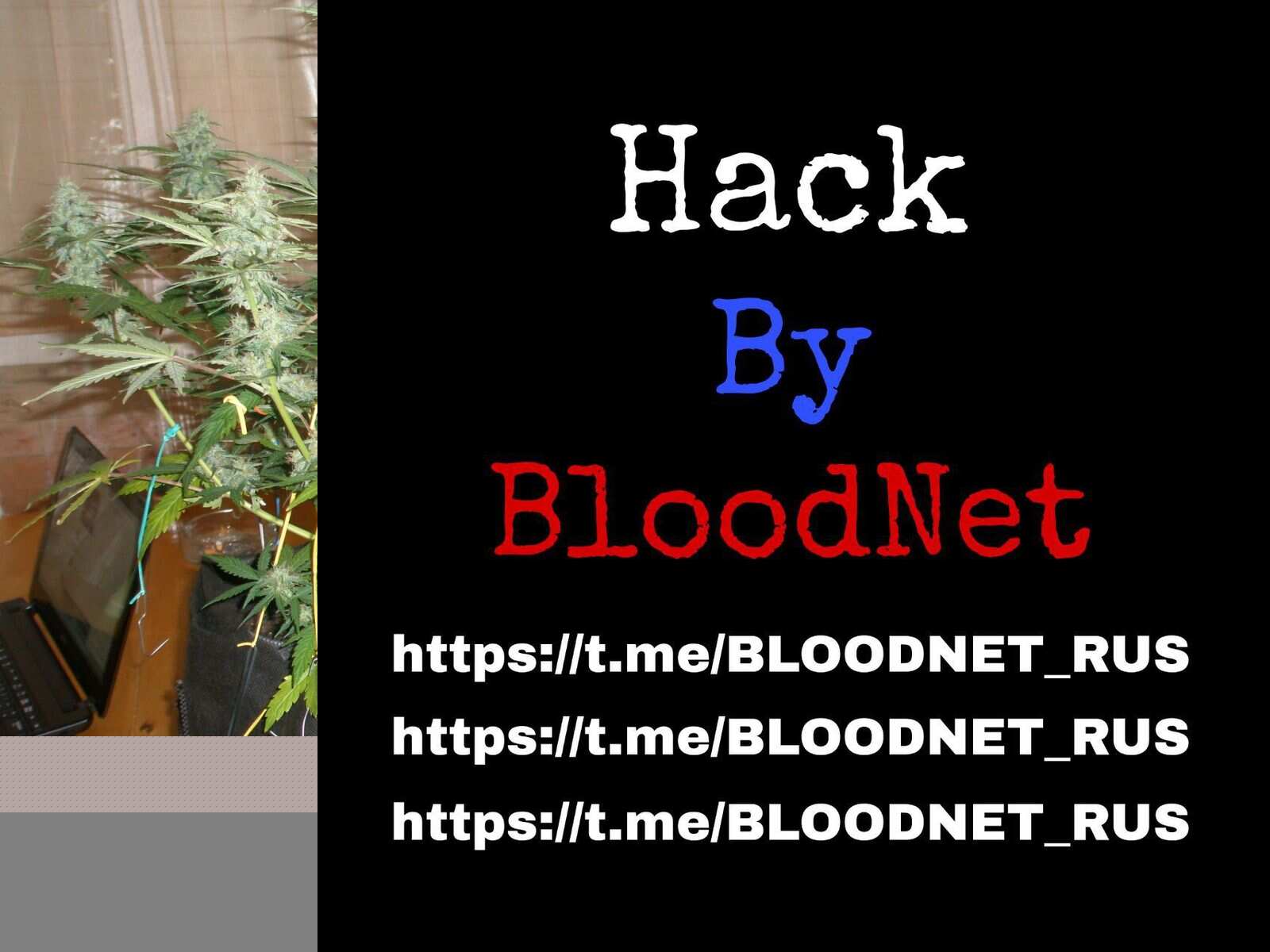 Инспектор Shkodik да AUTO AK