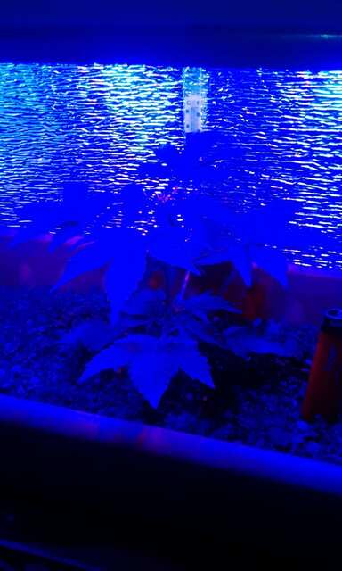 IMG 20140304 000037