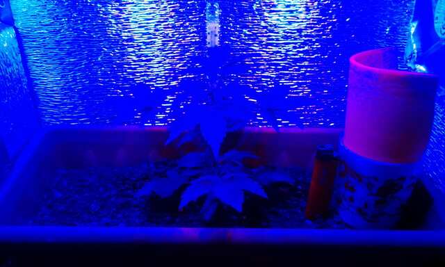 IMG 20140304 000026