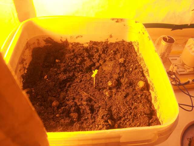 1 день без каски утро включил днат 150