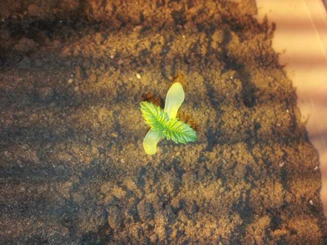 2 день без каски