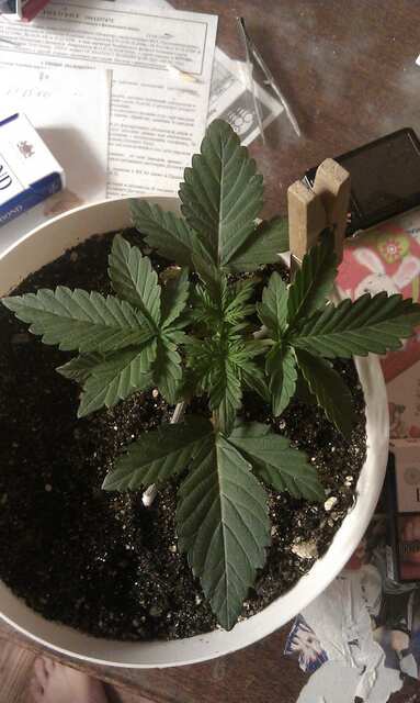 IMAG0230