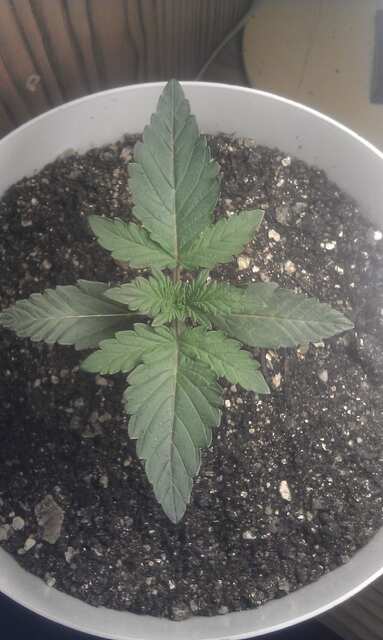 IMAG0225