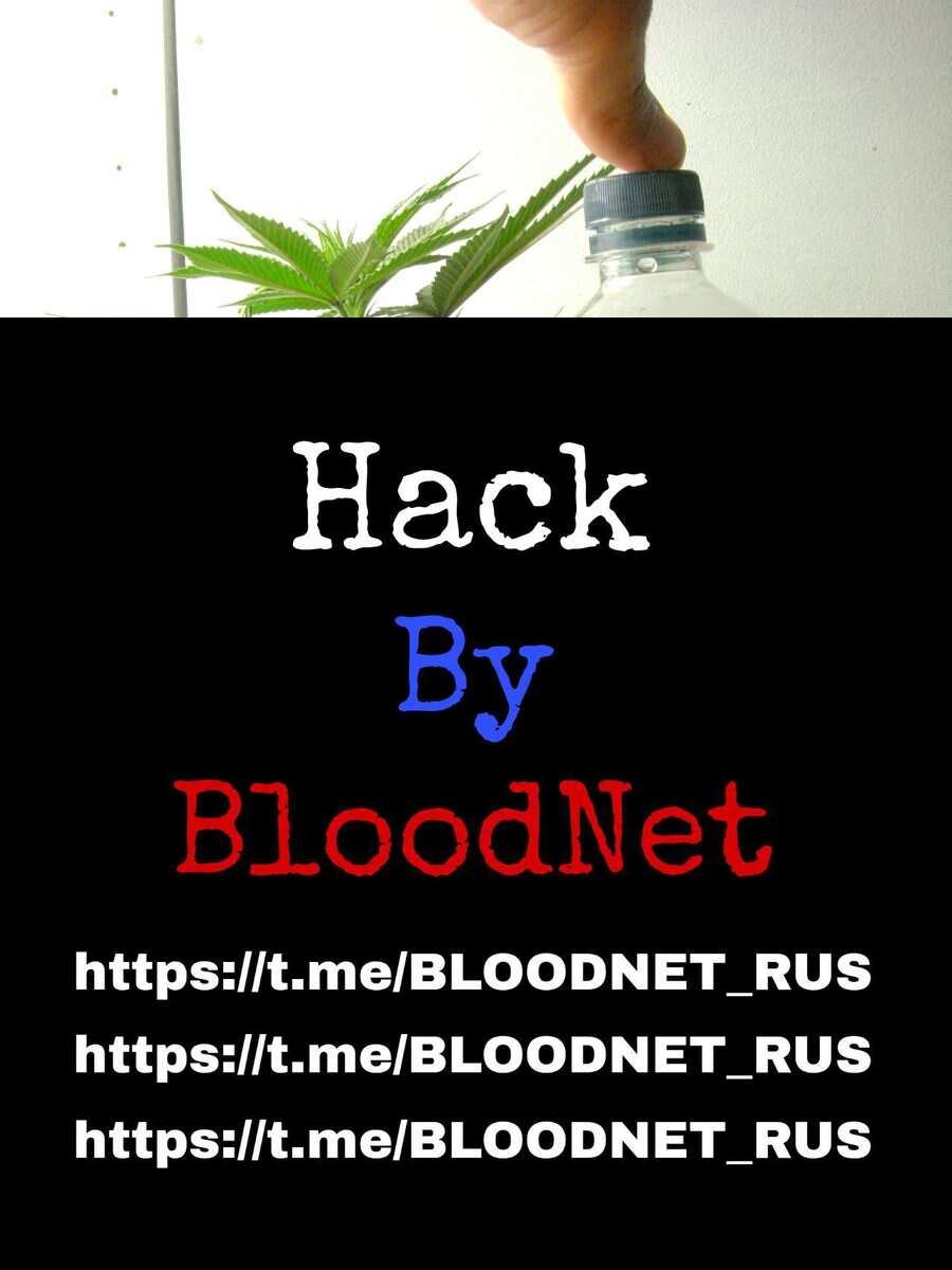 пробуем выростить