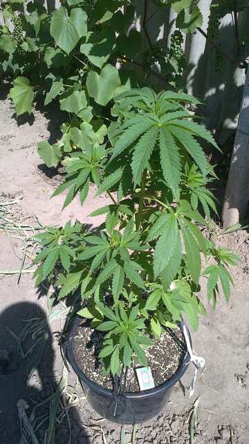 2014 07 01 383