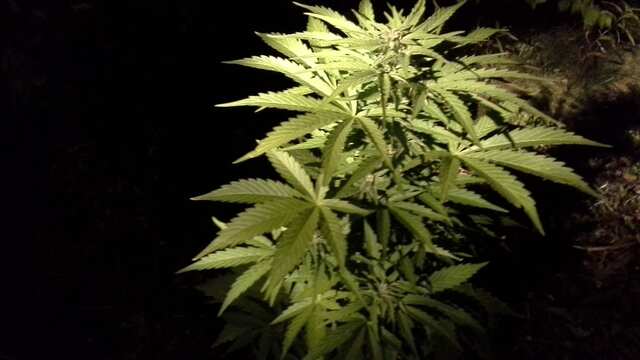20140828 215129