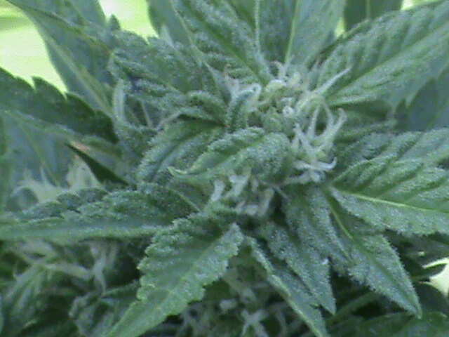 DSC00045
