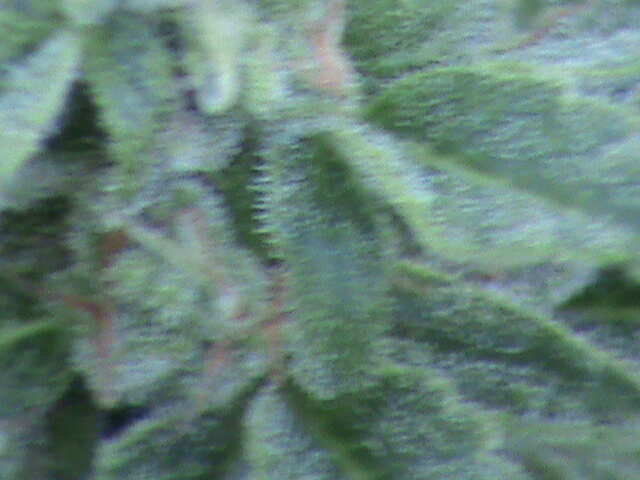 DSC00067