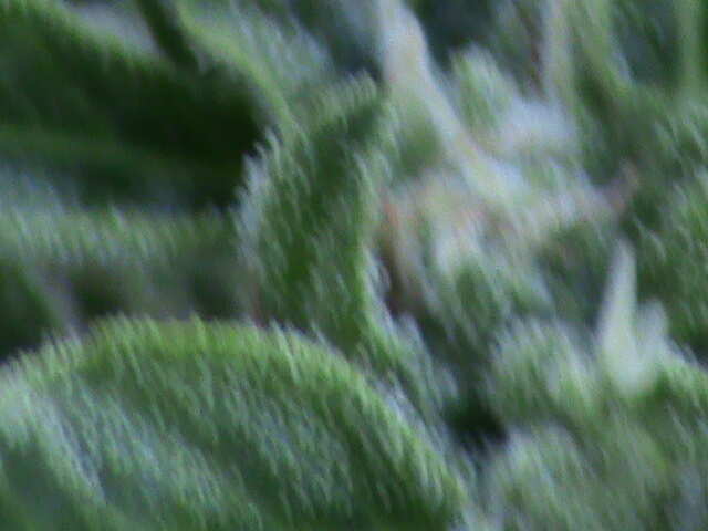 DSC00055
