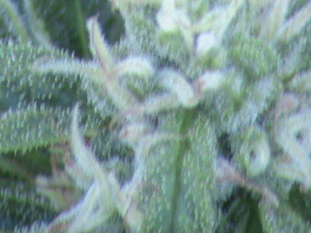 DSC00072