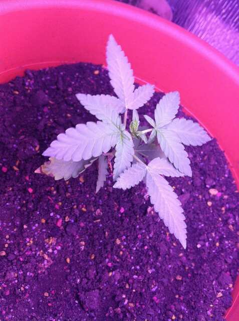 photo6
