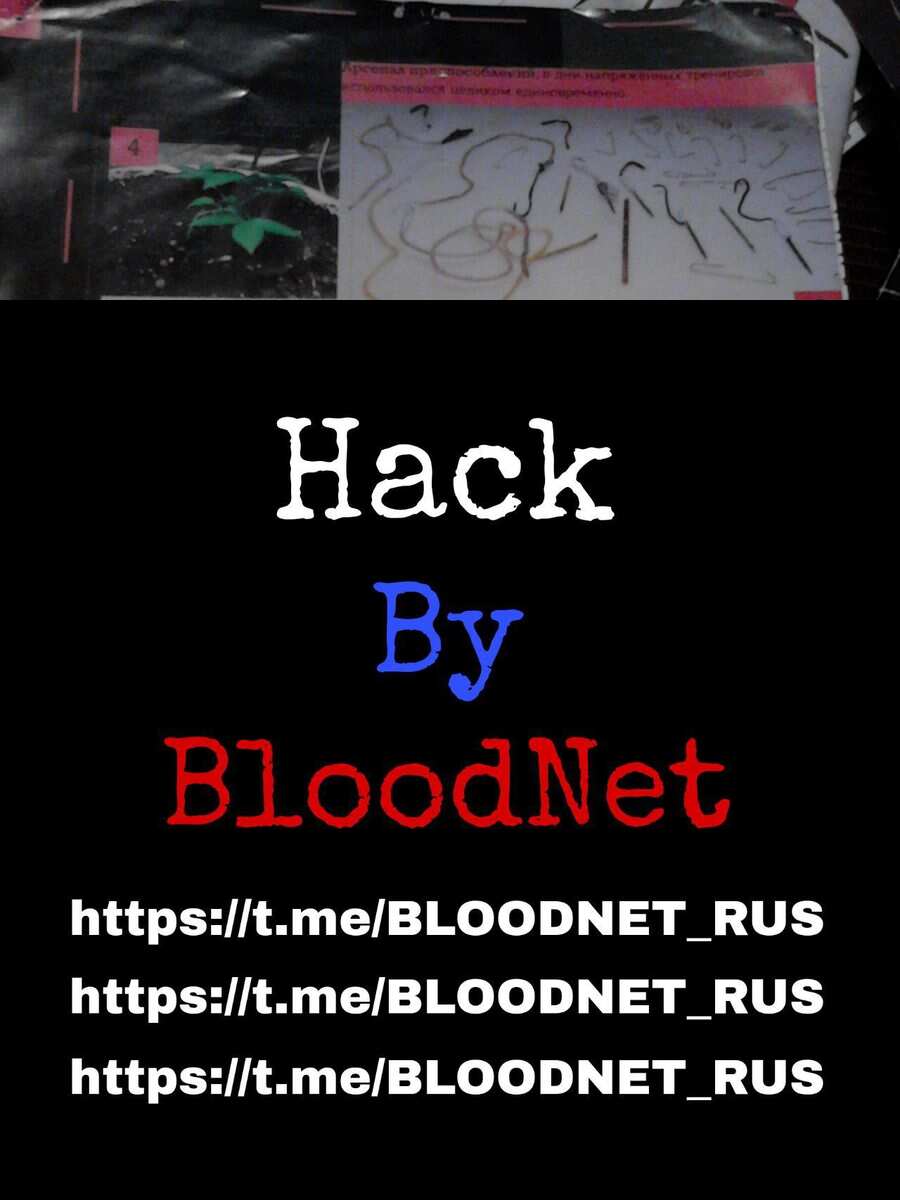 шикарный репорт