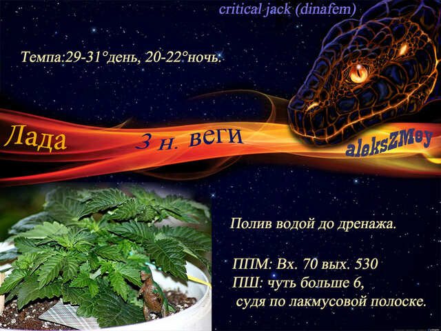 Змей2