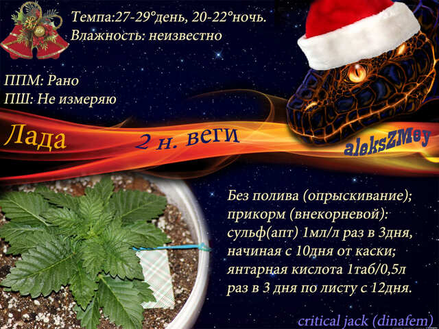 змей2нвш