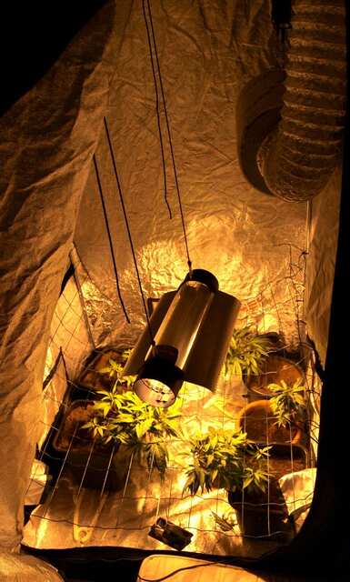 61 день   Ривега