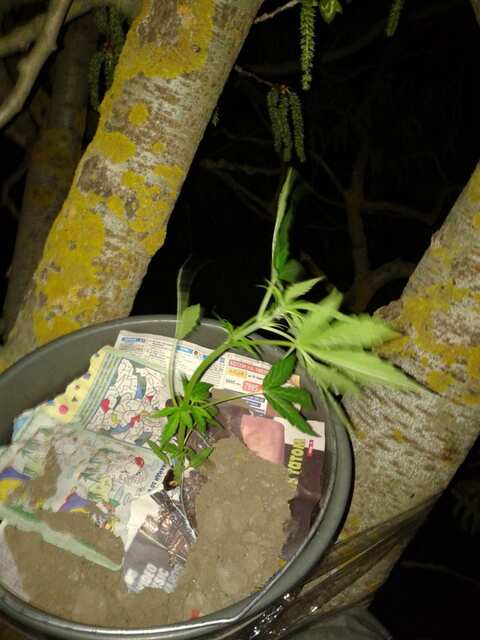 post