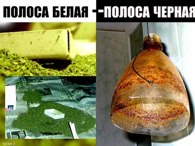 без слов