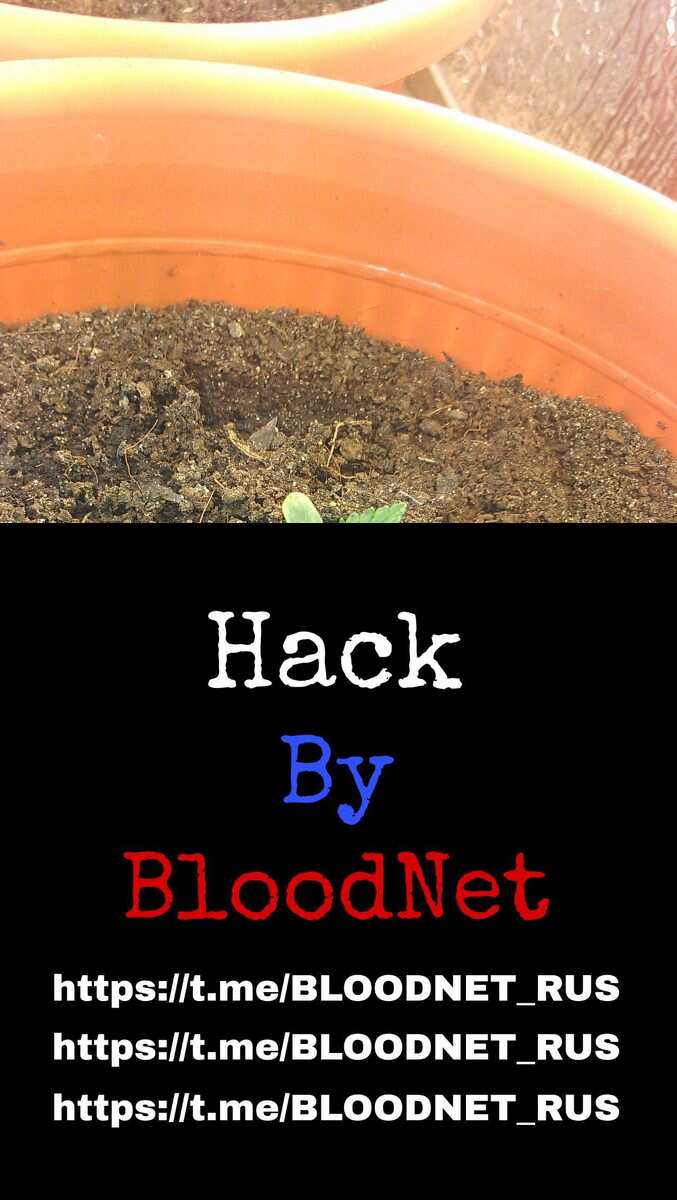 авто фаст бад