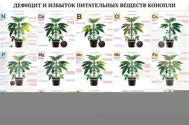 таблица избытка/дефицита элементов