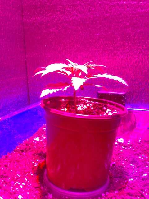 10 денй от каски