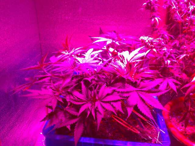 30 дней от каcки