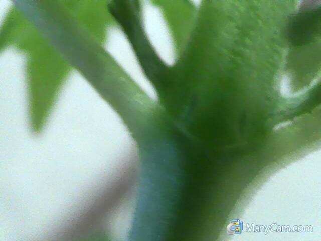 My Snapshot 31