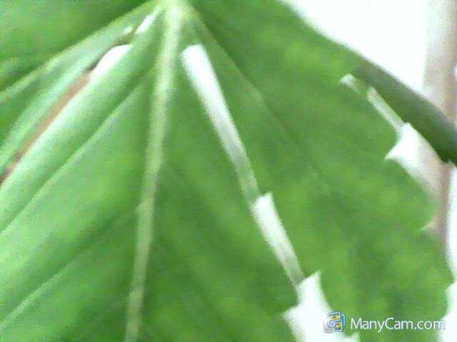 My Snapshot 28