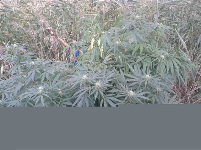 post 39254 0 95032100 1443627255