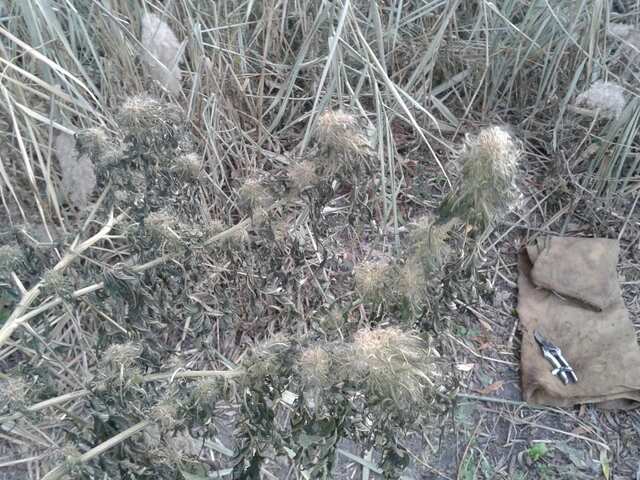 post 39254 0 76109800 1445104942