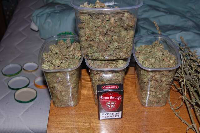 Super Skunk