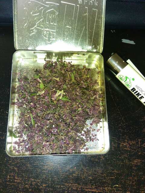 Fast Buds Blackberry AF