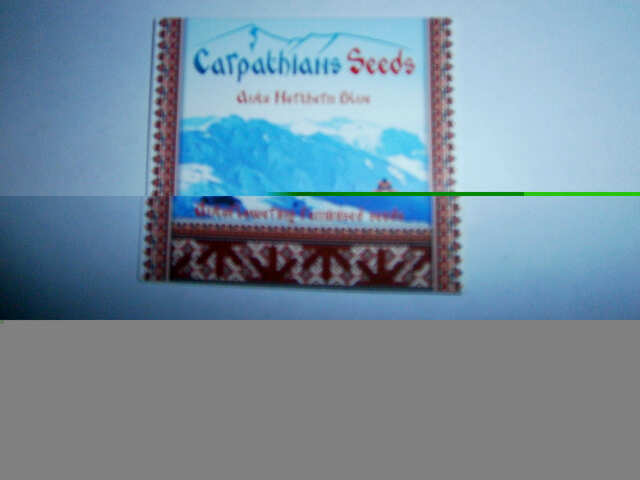 Auto Northern Blue  (Carpathians Seeds)