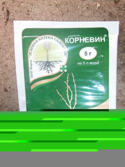Корневин (стимулятор корнеобразования черенков плодовых, ягодных, декоративных и комнатных растений, луковиц, клубнелуковиц, деток.)