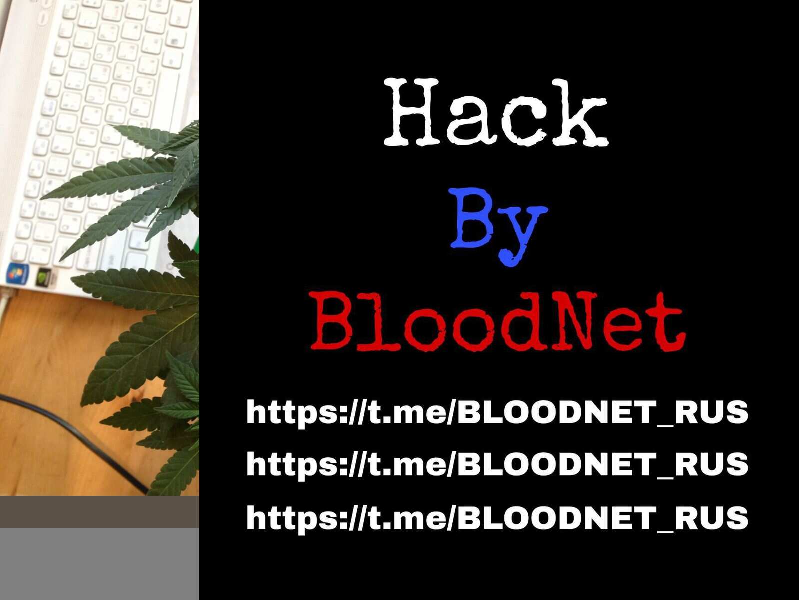 12 дней 12-12 света