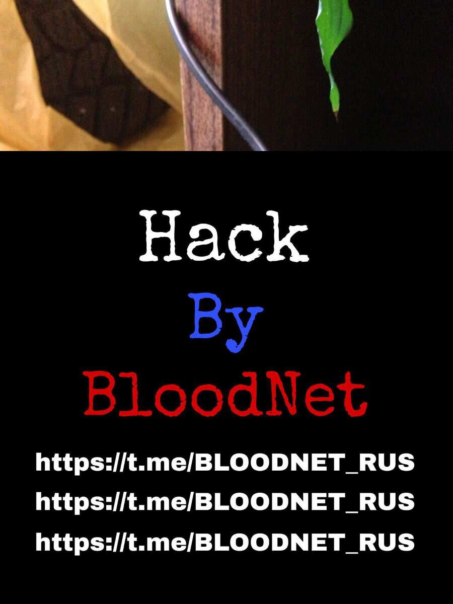 Амстер 1 опыт