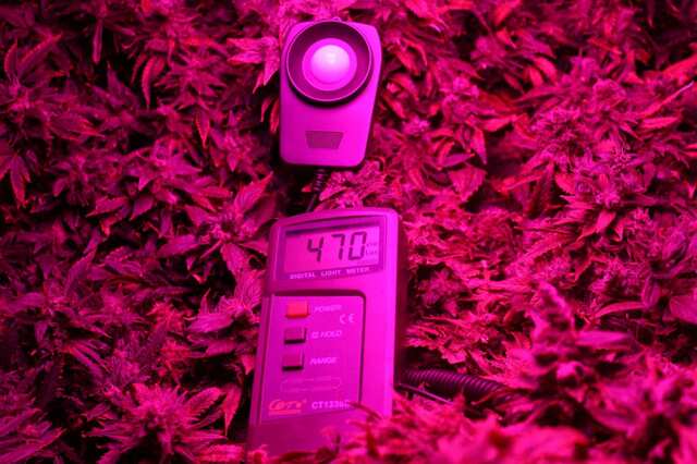 LED 800w