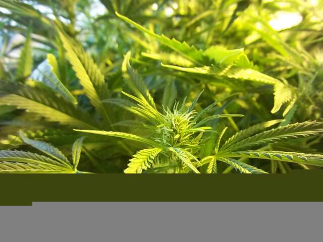 ak47
