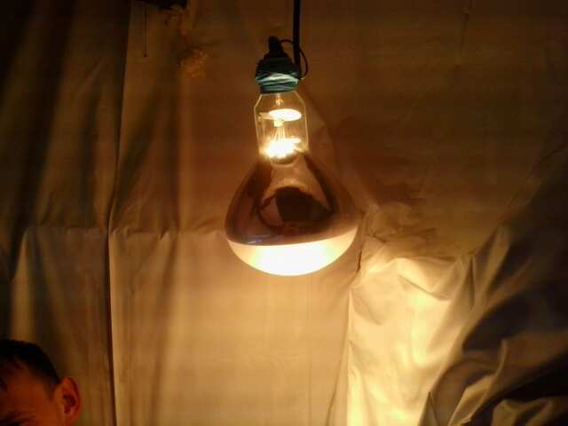 лампа 500вт для разогрева воздуха с увиличителем и отражателем