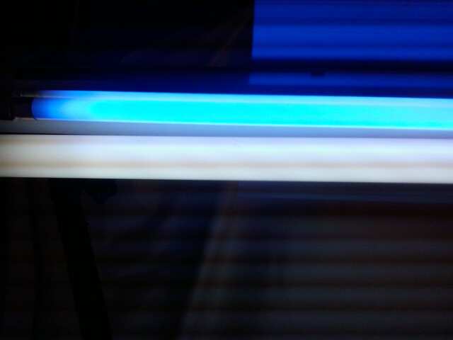 лампа лл 6500К и две лл синего света