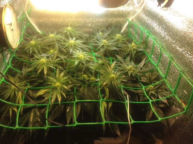 фото (8)