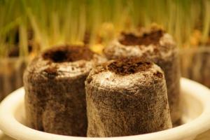 post-15864-0-32475200-1389284854_thumb.j