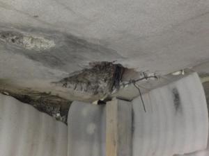 post-21178-0-63064200-1390465182_thumb.j