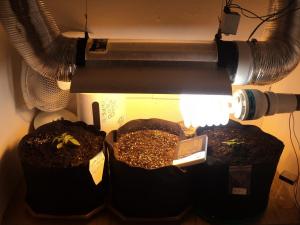 post-16193-0-14852800-1422006953_thumb.j