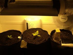 post-16193-0-59734100-1421908266_thumb.j