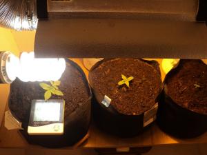 post-16193-0-74376500-1421908252_thumb.j