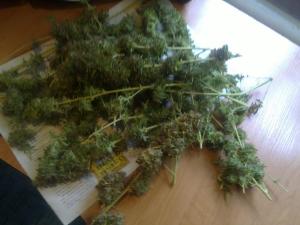 post-20904-0-40328900-1452256340_thumb.j