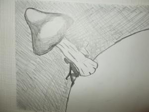 post-34107-0-32037100-1452518104_thumb.j