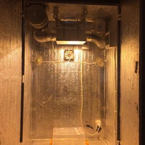 post-37621-0-77800800-1452251425_thumb.j