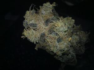 post-50808-0-36450900-1451610516_thumb.j